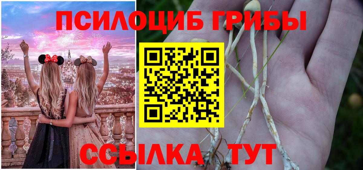 Галлюциногенные грибы GOLDEN TEACHER  Вход с VPN  Алейск  Галлюциногенные грибы Magic Shrooms 