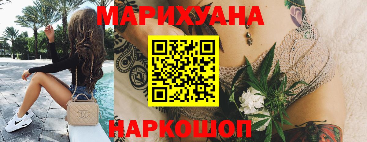 Бошки Шишки планчик Алейск
